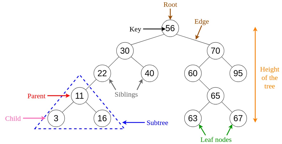 Binary Search Tree